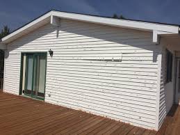 Best Custom Trim and Detailing for Siding  in Crete, NE